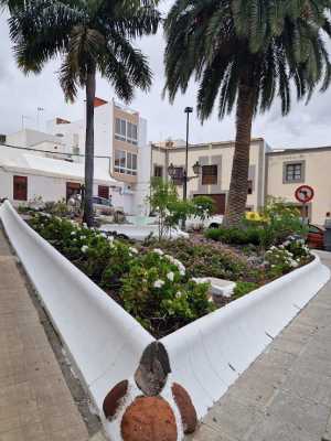Parques y Jardines remoza la fuente ubicada junto a Correos en el barrio de San Juan