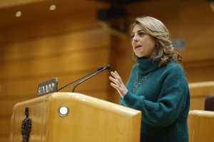 La modificación del REF que permitirá su inversión en vivienda en Canarias entra en su recta final en el Congreso