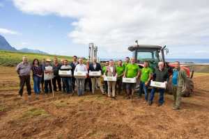 Los productores de cebolla de Gáldar modernizan sus cultivos con tecnología de vanguardia