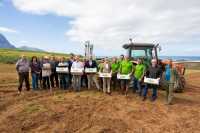 Los productores de cebolla de Gáldar modernizan sus cultivos con tecnología de vanguardia