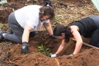 Turismo de Canarias sigue recuperando los espacios naturales con su segunda jornada de reforestación