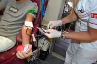 El SCS insiste en la importancia de donar sangre de manera regular