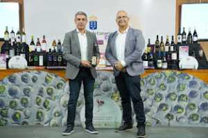 Brumas de Ayosa Malvasía Aromática, de la DOP Valle de Güímar, Mejor Vino de Canarias 2024