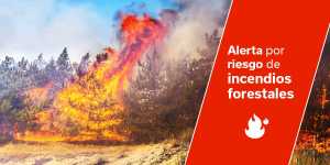El Gobierno actualiza la situación pasando a alerta por riesgo de incendio forestal en Canarias