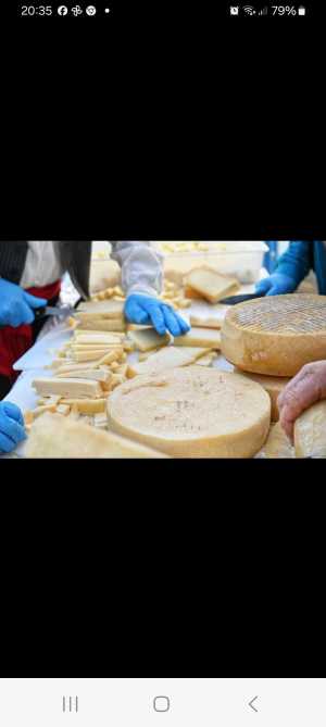 La Fiesta del Queso de Montaña Alta congregó hoy a más de 6.000 personas