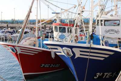 Convocadas las ayudas del FEMPA a la transformación y comercialización de productos de la pesca y la acuicultura por 4,69 M €