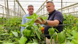 Quintero destaca la importancia de la modernización en el sector hortofrutícola en su visita a Finca Río Sur