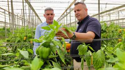Quintero destaca la importancia de la modernización en el sector hortofrutícola en su visita a Finca Río Sur