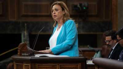 Valido reclama coordinación a Interior y Transporte para evitar el colapso en los controles de pasaportes de Tenerife Sur