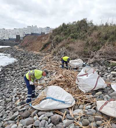 La Villa de Moya retira cerca de seis toneladas de residuos de su litoral en una actuación de limpieza y conservación ambiental