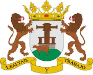 Noticias de la Villa de Ingenio