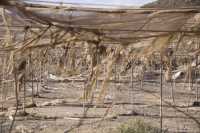 Abierta la convocatoria para presentar terrenos agrícolas para la recuperación paisajística