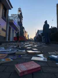 ‘Moya en Flor’ y los ‘Libros Iluminados’ se citan en la Villa de Moya