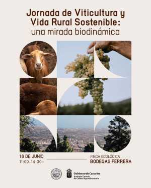 El Gobierno canario organiza una jornada profesional para promover prácticas ecológicas de viticultura sostenible