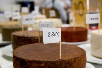 Cinco quesos canarios aspiran a convertirse en el mejor de España según el jurado de Gourmets 2026