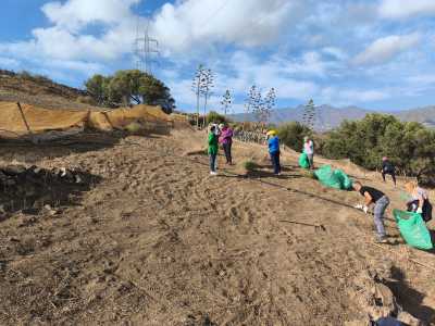 Telde avanza en el proyecto ‘Zonas Rurales Deprimidas 2025’ con la recuperación de fincas y caminos rurales