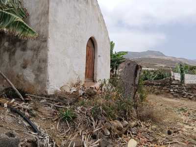 El Ayuntamiento denuncia la tala de un drago junto a la antigua ermita de San Marcos