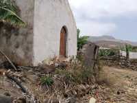 El Ayuntamiento denuncia la tala de un drago junto a la antigua ermita de San Marcos
