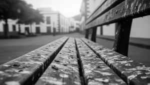 SBT sensibiliza para controlar las plagas de palomas urbanas