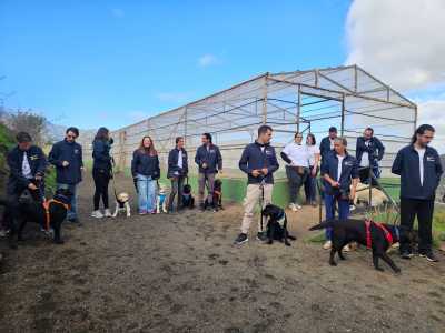Telde pionera a nivel europeo como la primera ciudad que pone en marcha un PFAE para la formación de instrucción de perros de asistencia