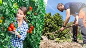 La devolución del impuesto al combustible para agricultores y transportistas se hará en base al consumo real