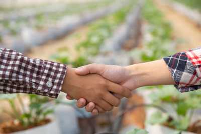 El Gobierno de Canarias destina 350.000 euros para apoyar a 14 asociaciones profesionales agrarias sin ánimo de lucro