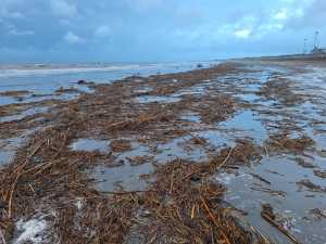 El aliviadero de la Presa de Ayagaures aumentará el cauce del barranco