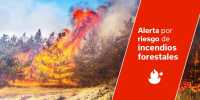 Actualización INFOCA: situación de alerta por riesgo de incendios forestales en islas occidentales y Gran Canaria