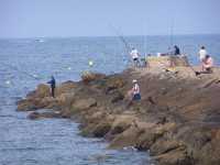 El Gobierno de Canarias reanuda la expedición y renovación de licencias de pesca de recreo