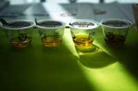 El Gobierno de Canarias convoca el Concurso Oficial de Aceite de Oliva Virgen Extra Agrocanarias 2026