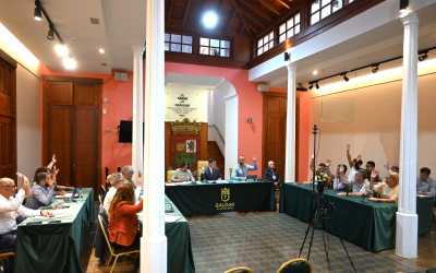 El Pleno del Ayuntamiento de Gáldar aprueba conceder la Medalla de Oro de la ciudad a la Agrupación Folclórica Harimaguadas