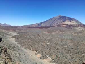 El ICIA colabora con el Cabildo de Tenerife en un proyecto para inventariar la flora del Parque Nacional del Teide