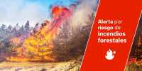 El Gobierno actualiza la situación de alerta por riesgo de incendios forestales a toda Canarias