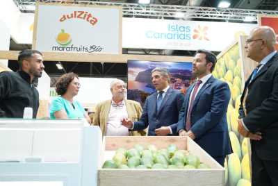 Canarias triplicó los envíos de aguacate al mercado peninsular y extranjero en 2024