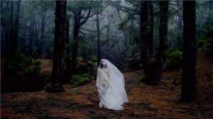 Asiria Álvarez sistematiza y documenta en un catálogo el trabajo de 140 mujeres creadoras del ámbito del audiovisual y la fotografía