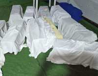 Gáldar finaliza una nueva campaña de esterilización y control de 250 gatos