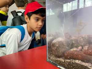 Más de 600 estudiantes conocen el patrimonio científico canario en las Miniferias de La Palma
