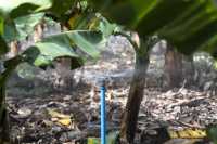 El Gobierno de Canarias y el Cabildo de Tenerife organizan una jornada de gestión de agua de riego en el contexto de la emergencia hídrica